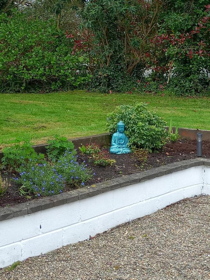 Bed and Breakfast Applelea House Rosslare Harbour Esterno foto