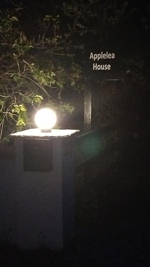 Bed and Breakfast Applelea House Rosslare Harbour Esterno foto